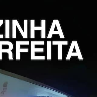 poster - A Vizinha Perfeita