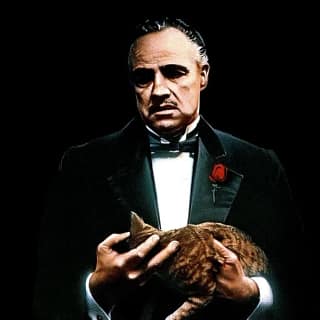 Vito Corleone segura um gato em cena de O Poderoso Chefão, símbolo da autoridade silenciosa e do poder simbólico no cinema