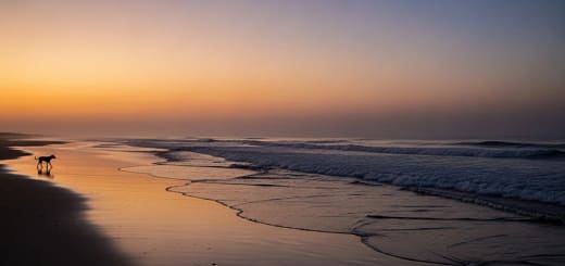 Praia ao entardecer simbolizando o silêncio e a ausência no caso do cão Orelha
